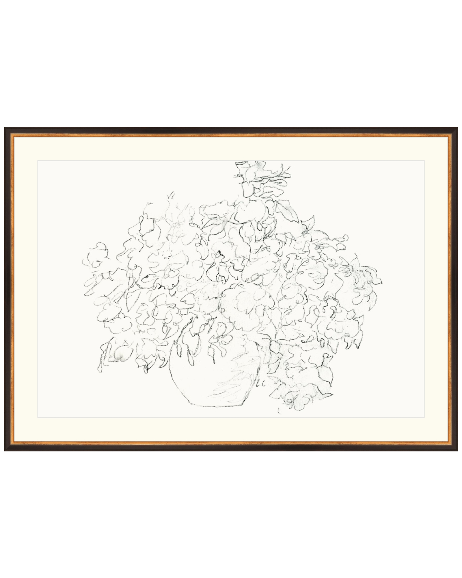 Vase of Flowers Sketch