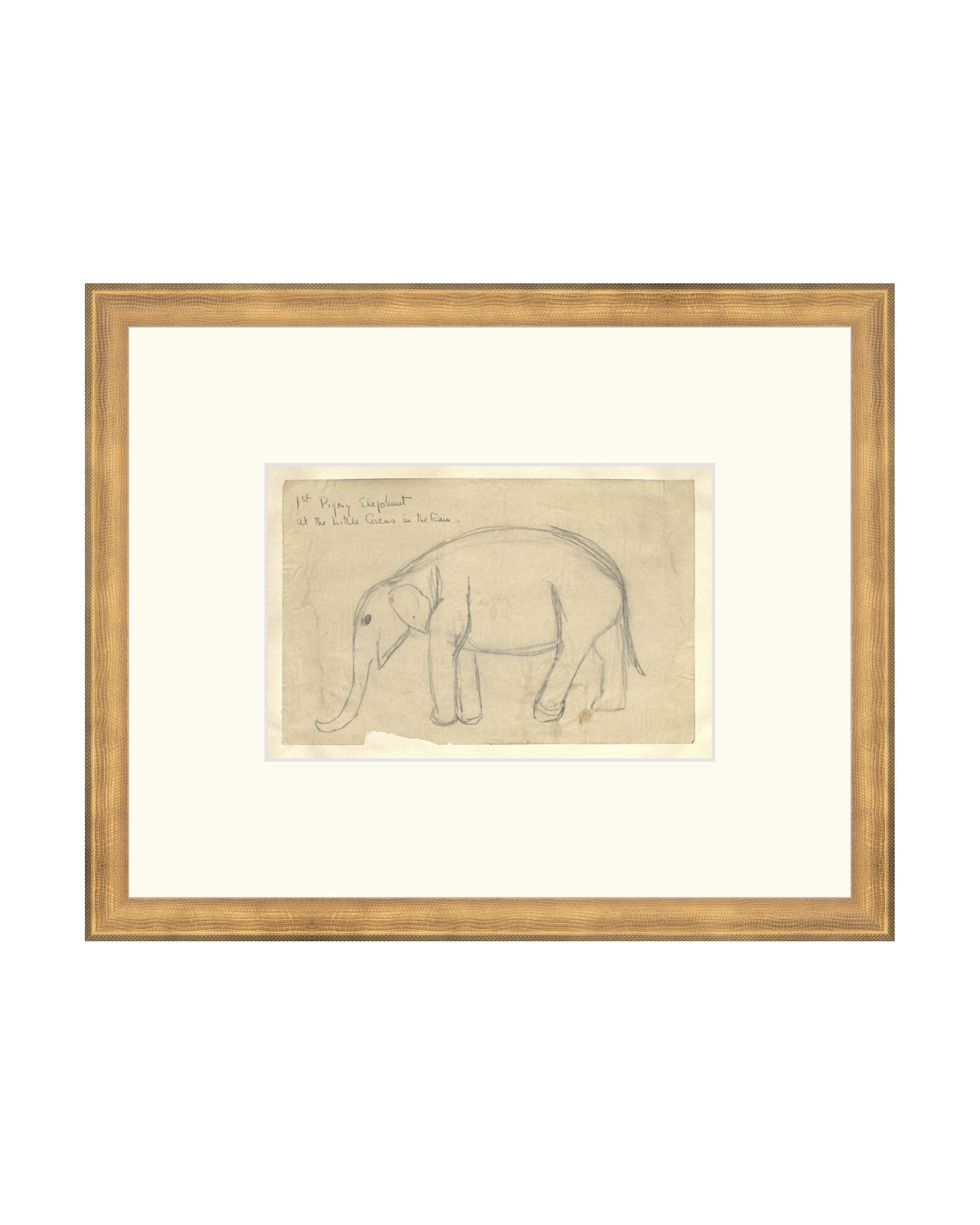 Elephant Drawing