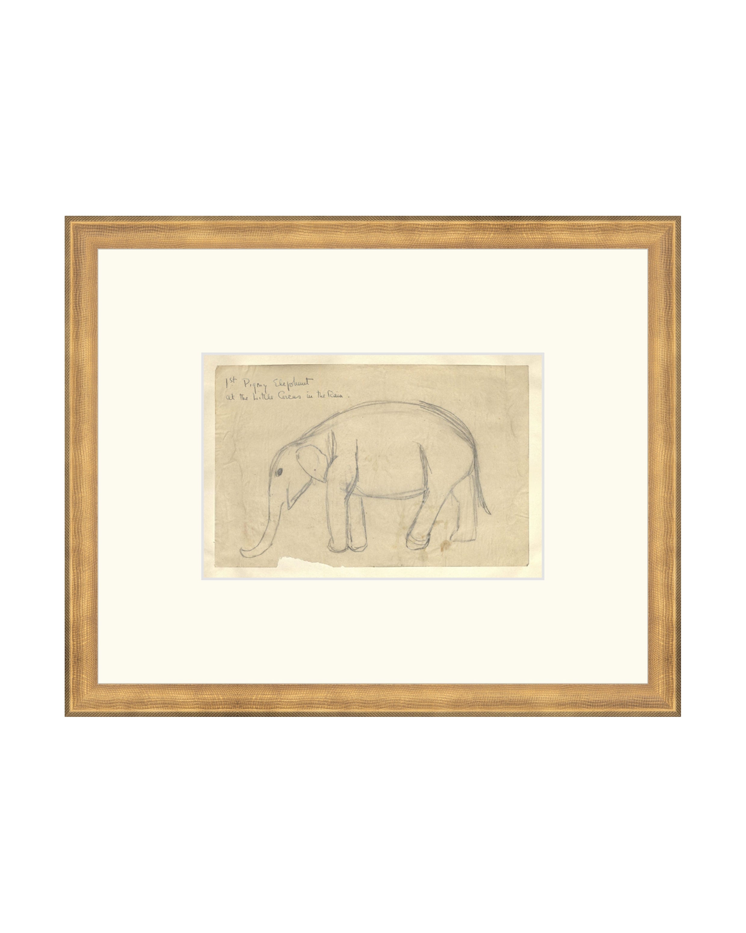 Elephant Drawing