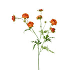 22 inch Artificial orange ranunculus stem with 7 blooms and 2 buds
