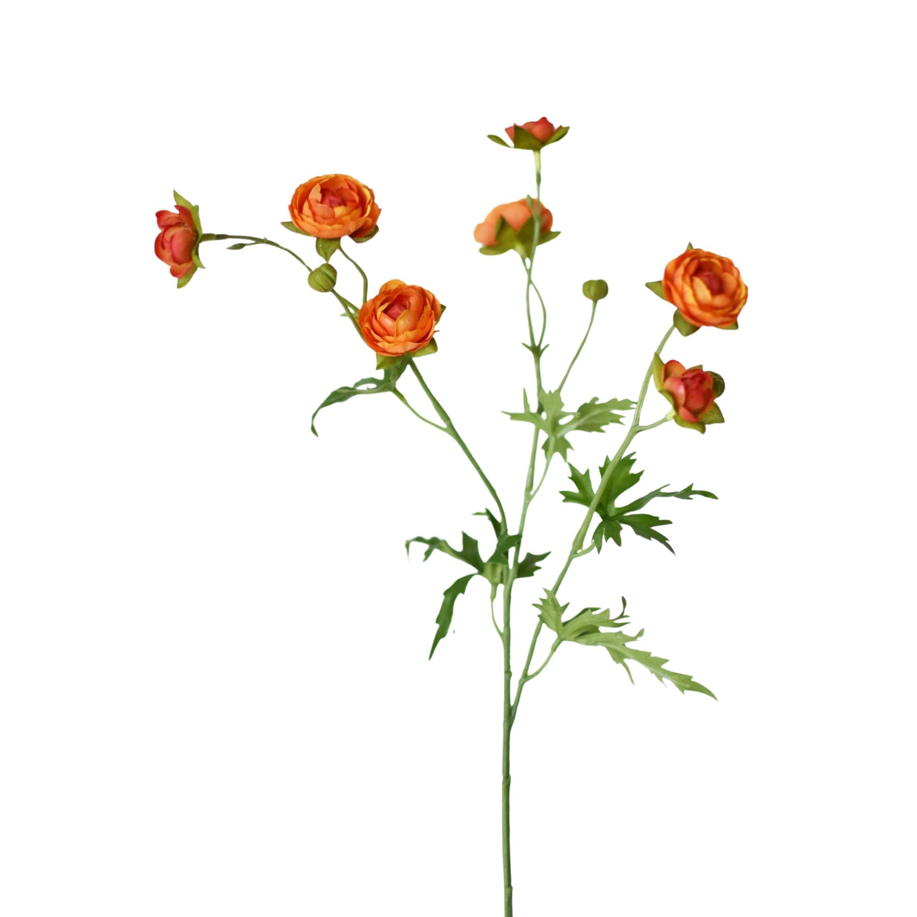 22 inch Artificial orange ranunculus stem with 7 blooms and 2 buds