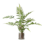 25 inch Artificial forest fern plant in glass vase
