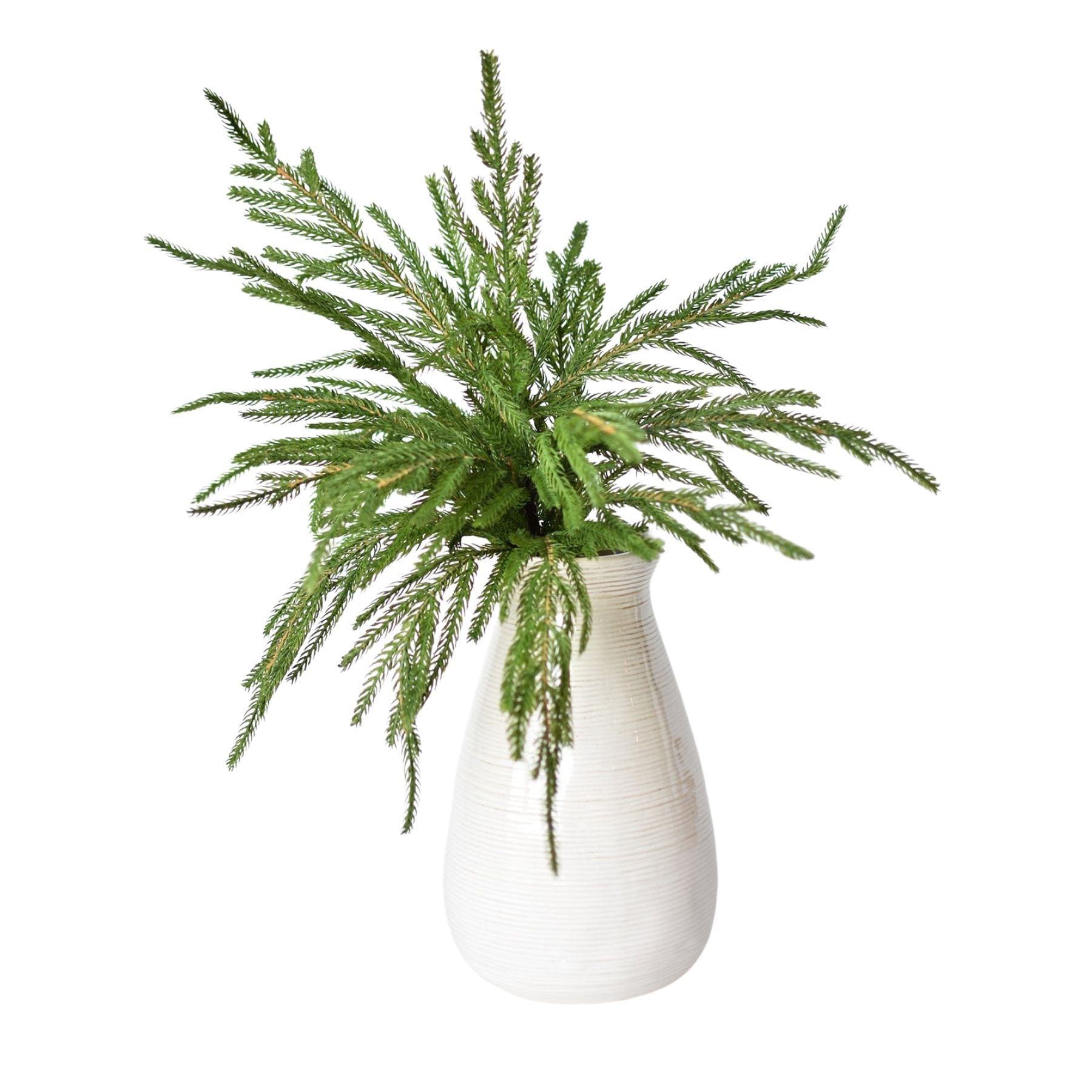 20 inch Artificial Norfolk pine bush holiday greenery