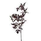 31 inch Artificial plum Cimicifuga Ramosa stem with lacy foliage