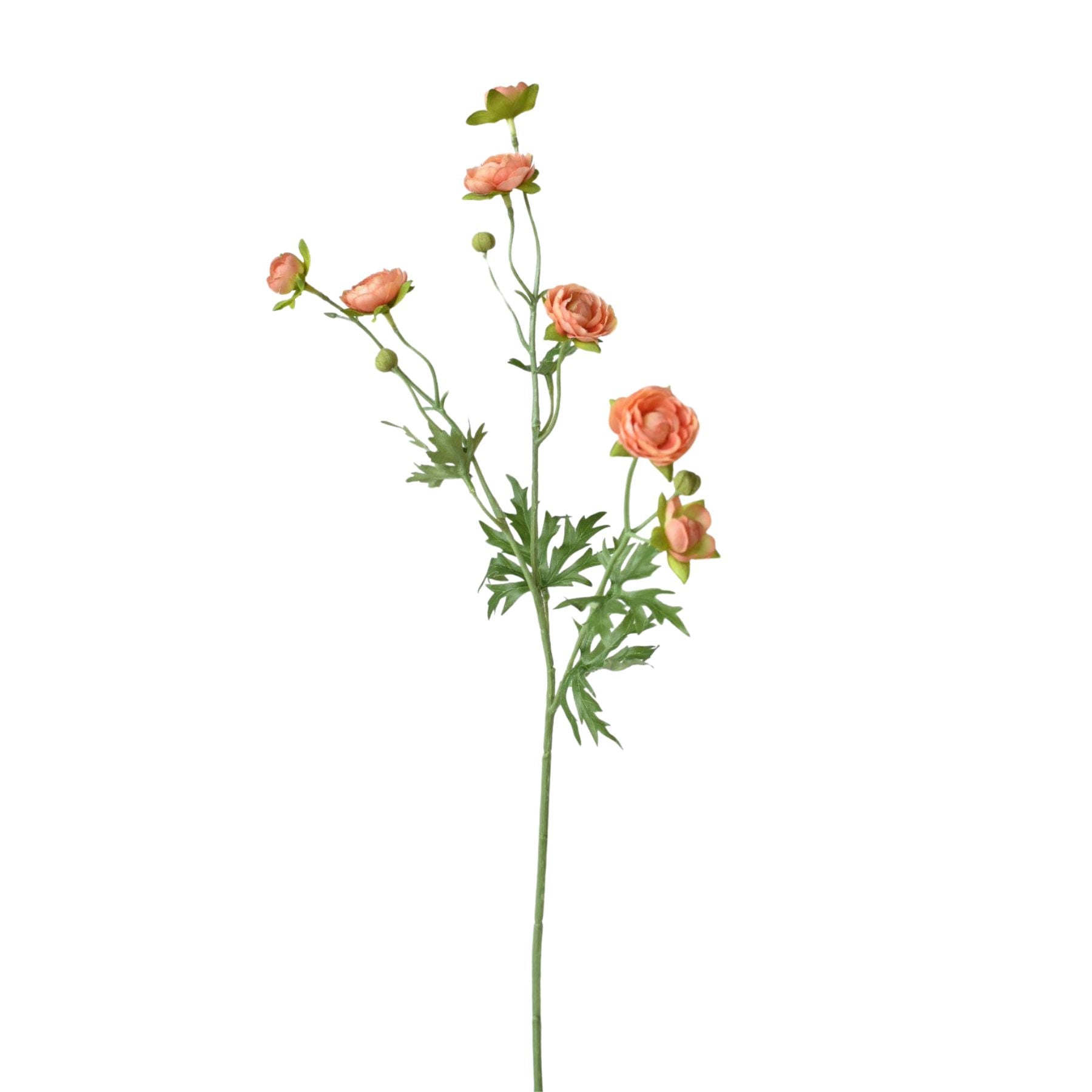 22 inch Artificial peach ranunculus stem with 7 blooms and 2 buds