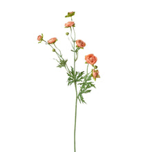 22 inch Artificial peach ranunculus stem with 7 blooms and 2 buds