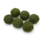 Set of six 3 inch preserved moss balls for home décor