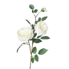 29 inch Artificial white cabbage rose stem with two blooms and bud