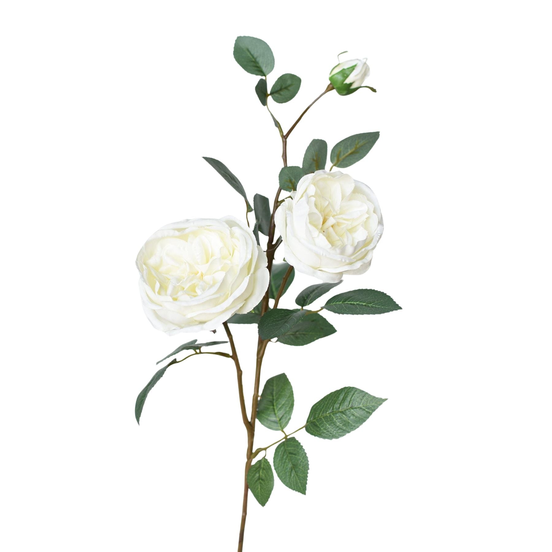 29 inch Artificial white cabbage rose stem with two blooms and bud