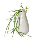 23 inch Artificial pencil cactus hanging succulent bush