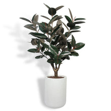 60" Artificial rubber ficus tree in modern gray planter