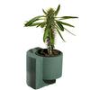 Small polished concrete Platform Planter fits 4 inch pot