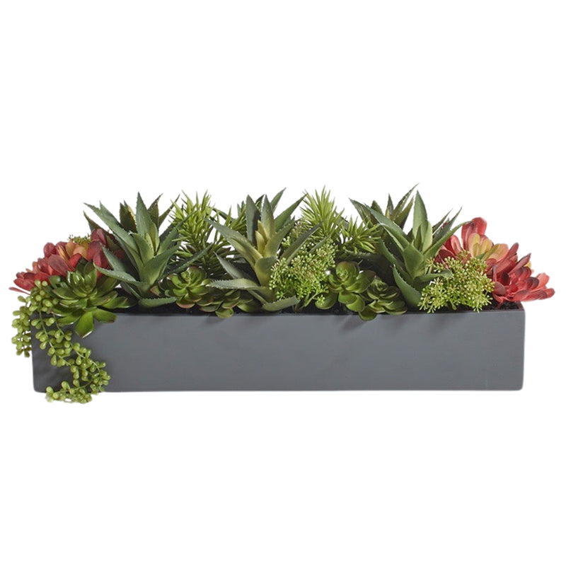 Rectangular Artificial Succulent Arrangement, Gray Planter