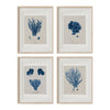 Vintage Coral Wall Art Studies Set of 4 In Antique or Indigo
