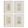 Vintage Wall Art Botanical Prints - Set of 4 Unframed