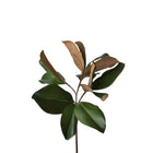 16.5" Faux Magnolia Leaf Stem