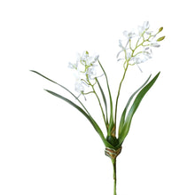 16" Faux Mini Orchid Stem with Leaves and Roots