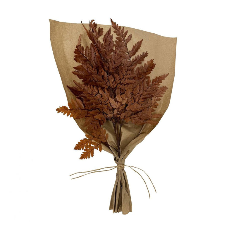 Mahogany Bundle