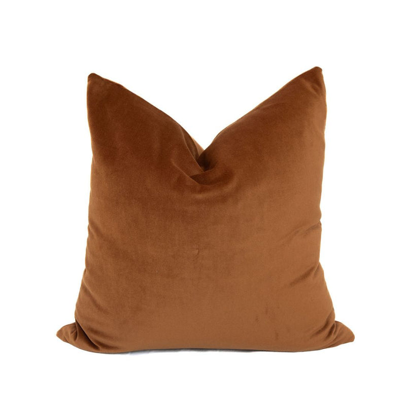 Bre Velvet Pillow Ccver