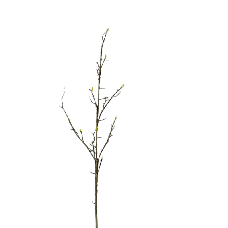 Seed Germination Branch Stem Faux