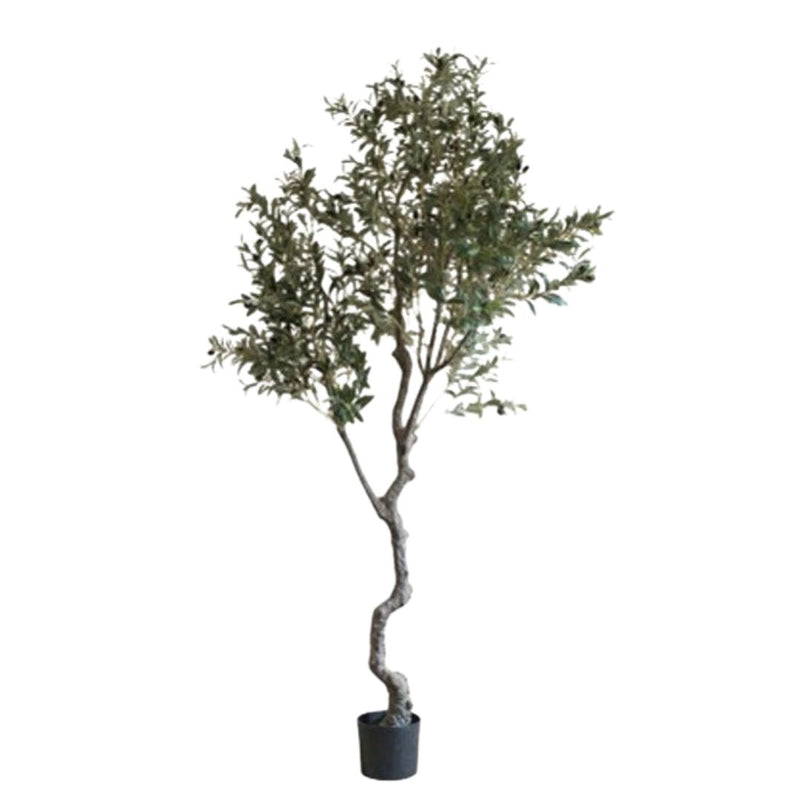 Large Artificial Olive Tree 94" Tall In Pot