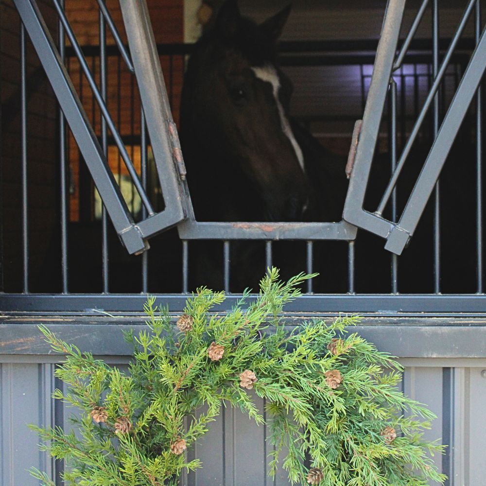 Fresh-looking faux pine wreath with pinecone accents