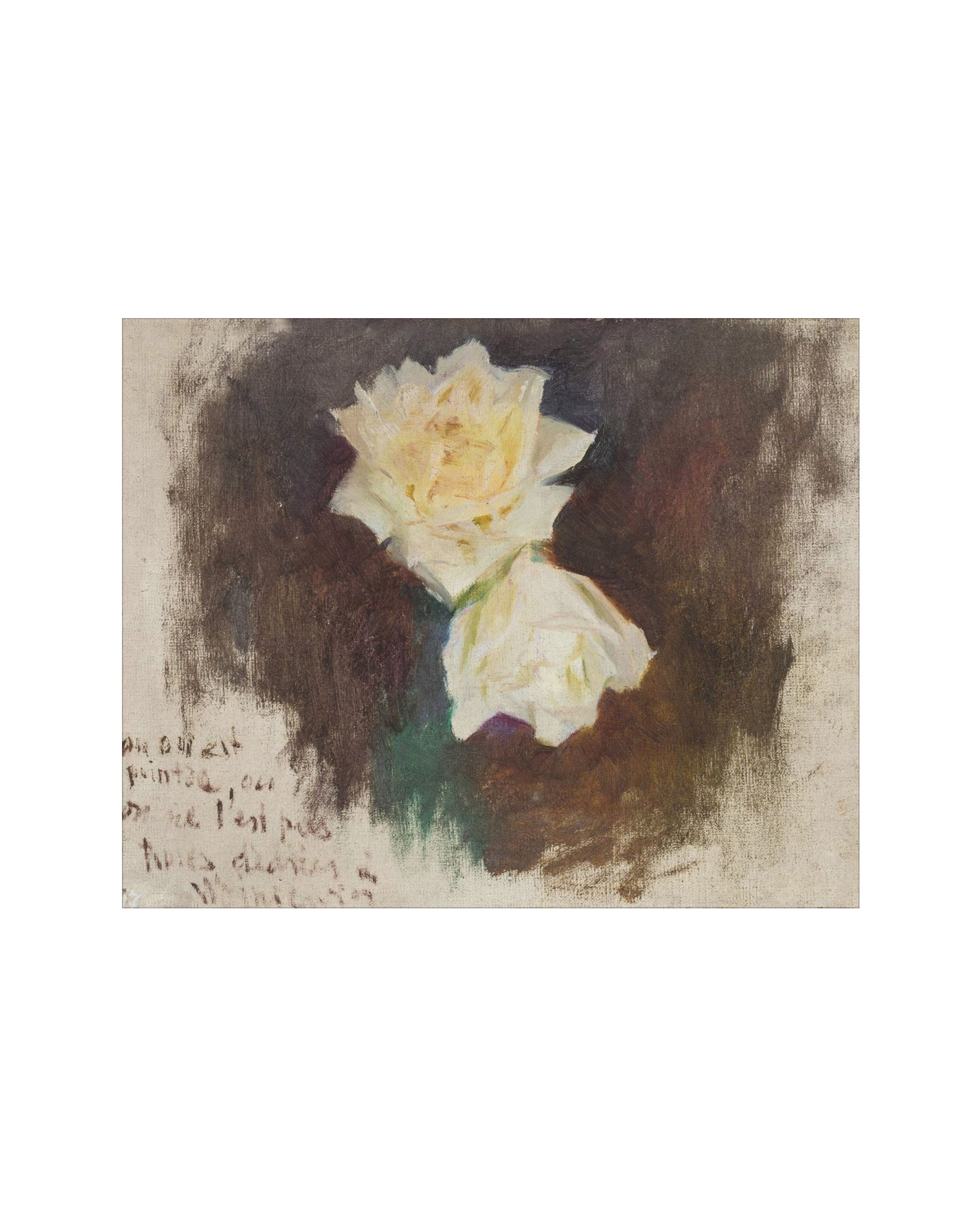 White Flowers
