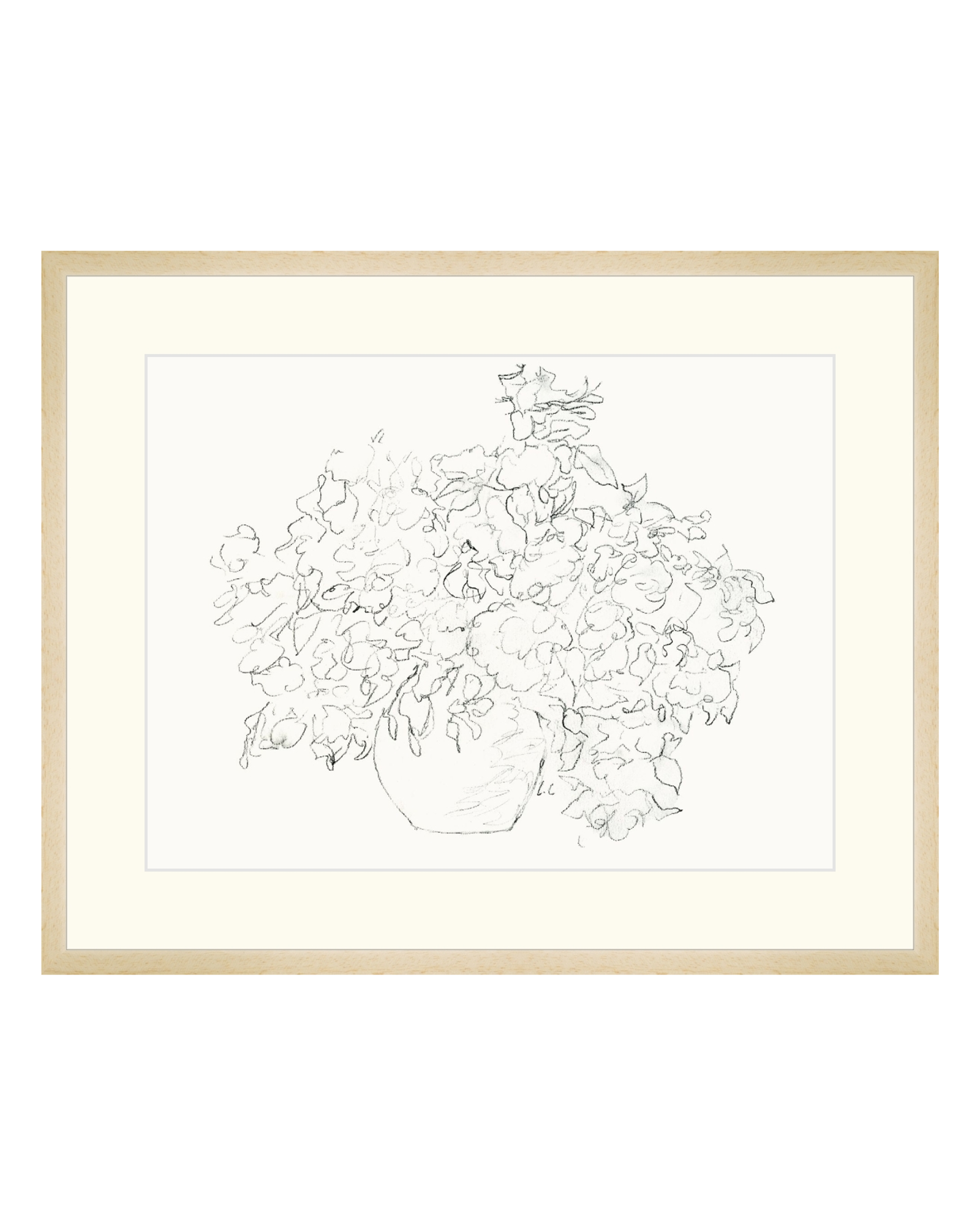 Vase of Flowers Sketch
