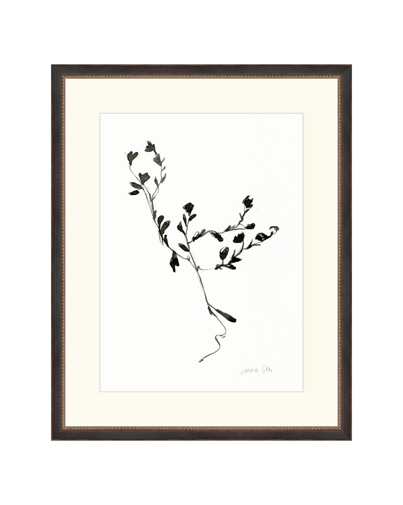 Sketched Botanical