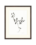 Sketched Botanical