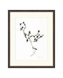 Sketched Botanical
