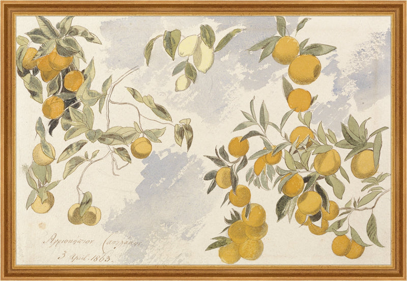 Framed Orangerie