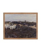 Sheep Flock