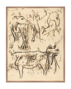 Herd Study