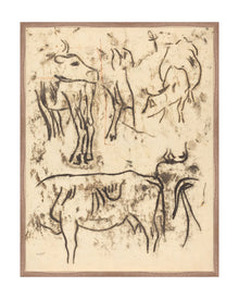 Herd Study