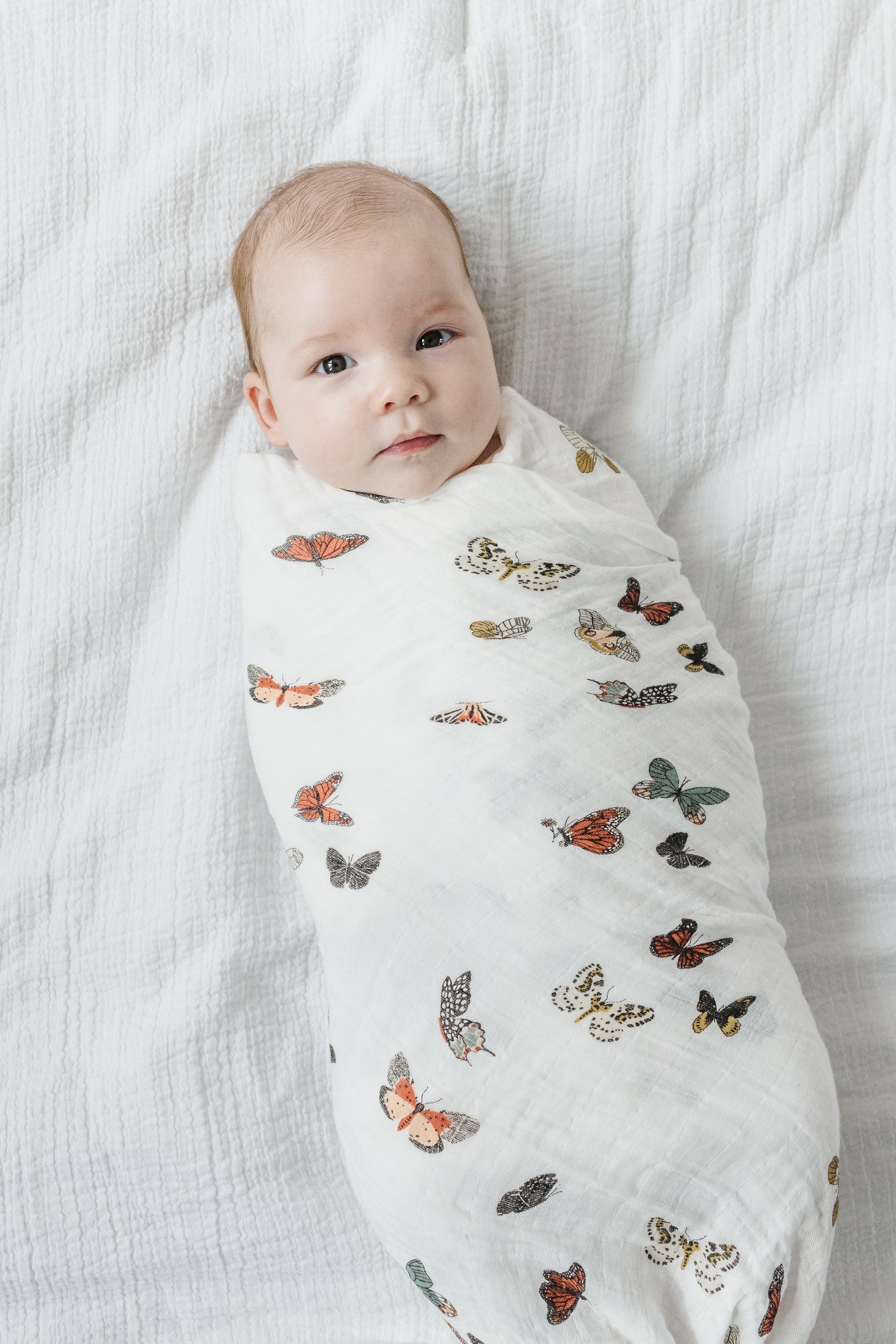 Baby wrapped in Butterfly Migration muslin swaddle blanket
