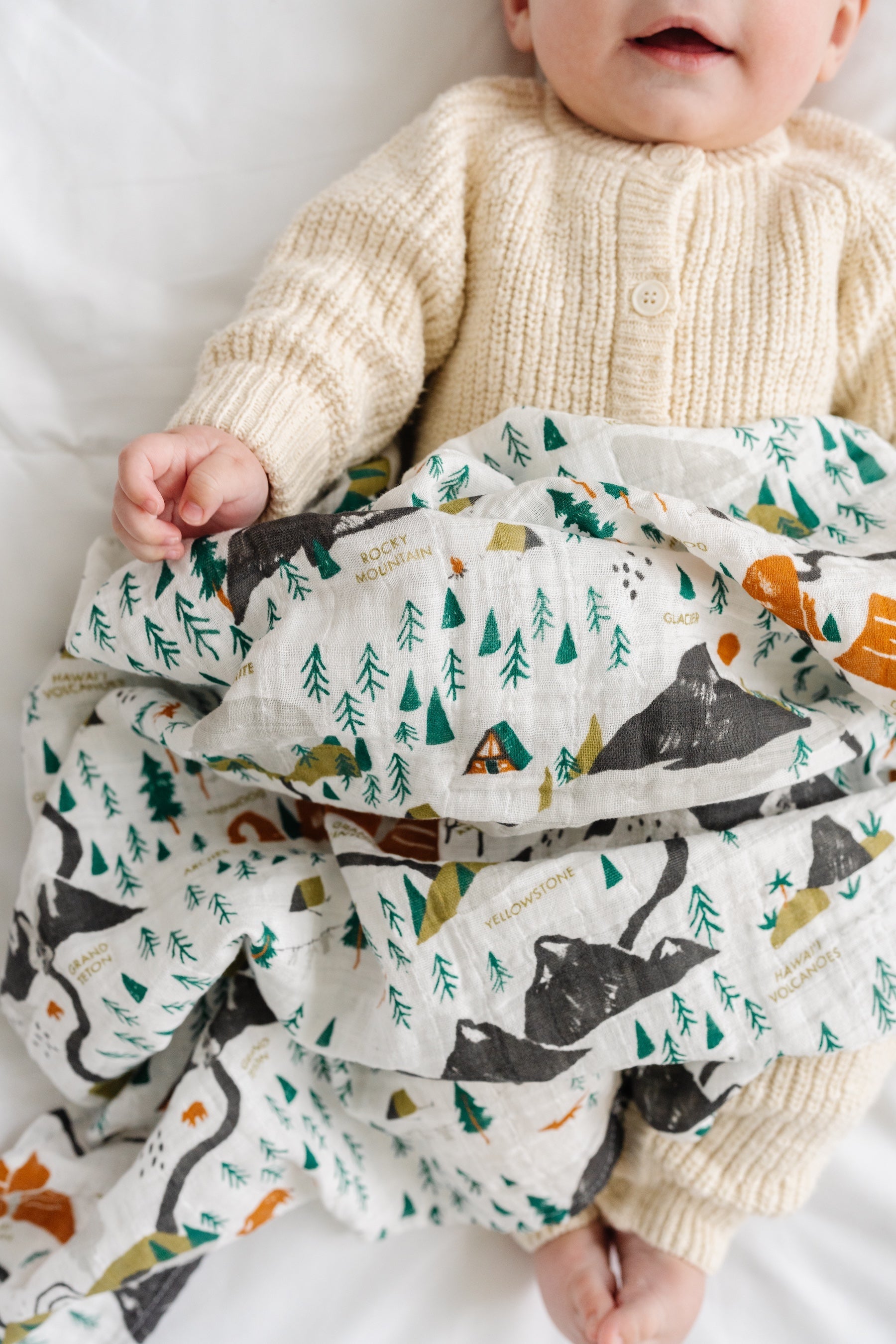 Baby wrapped in National Parks Mini Pattern muslin swaddle blanket