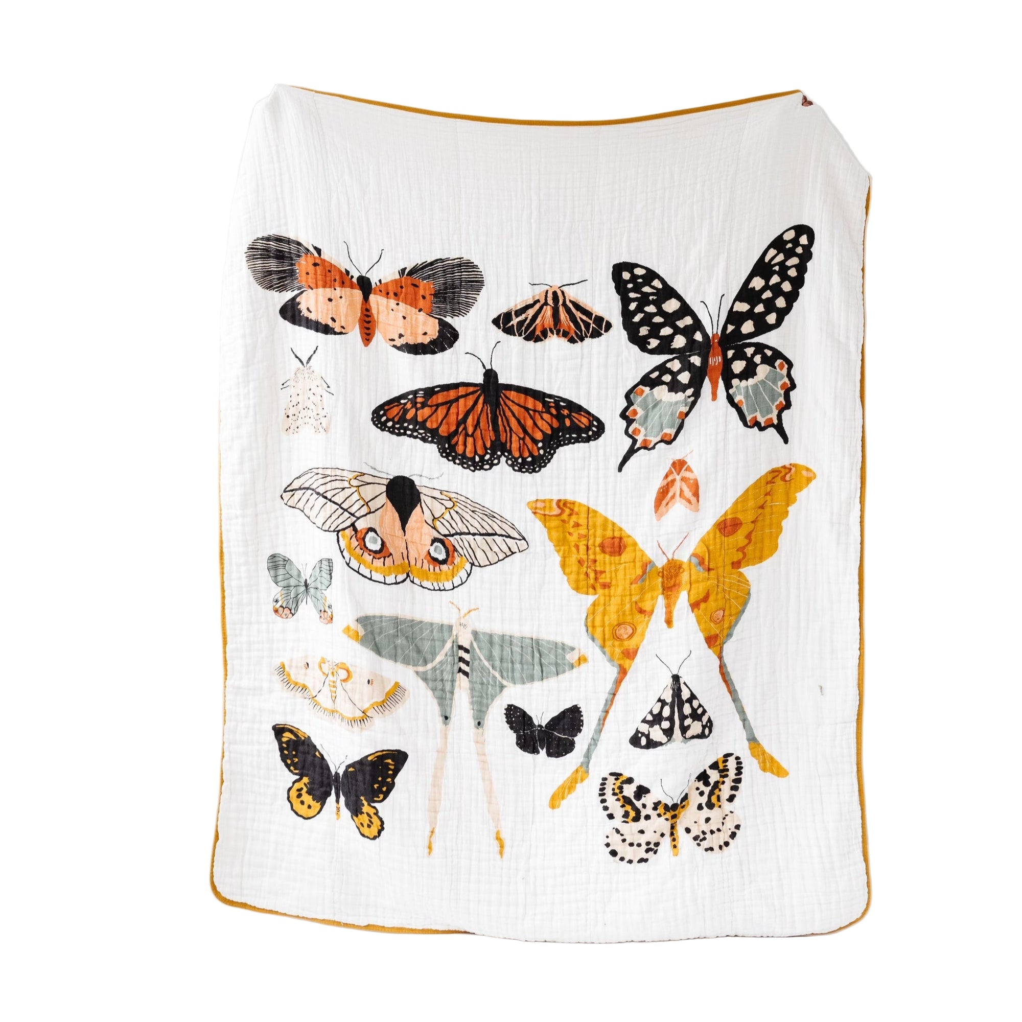Butterfly Collector Throw Blanket with colorful butterfly print