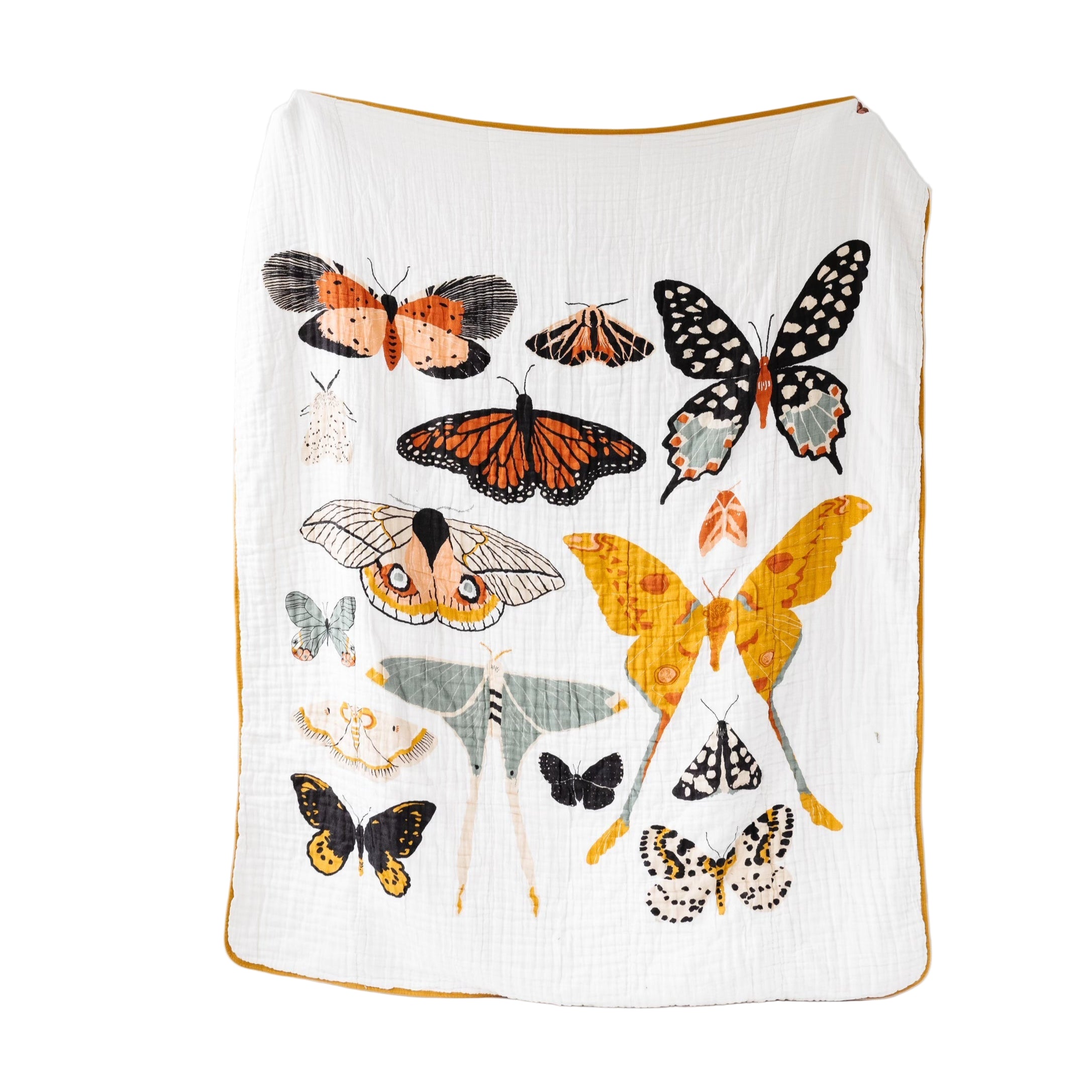 Butterfly Collector Throw Blanket with colorful butterfly print