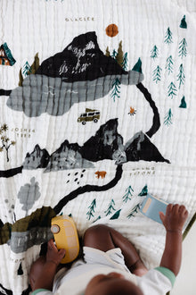 Close-up of illustrated National Parks quilt print