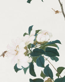 Garden III
