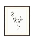Sketched Botanical