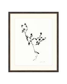 Sketched Botanical