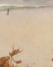 Beach Day