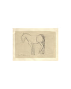 Horse Sketch