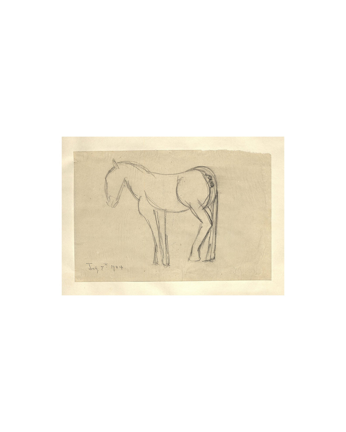 Horse Sketch