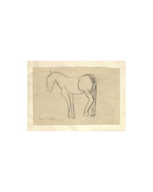 Horse Sketch