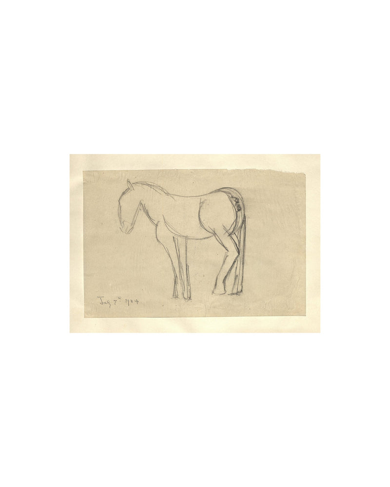 Horse Sketch