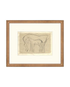 Mare and Foal