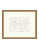 Lemon Branch Drawing